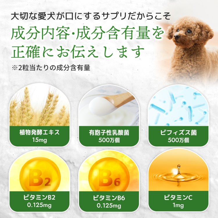 毎日爽快【公式ウィズペティ】犬用腸内環境サプリ｜乳酸菌・酵素配合